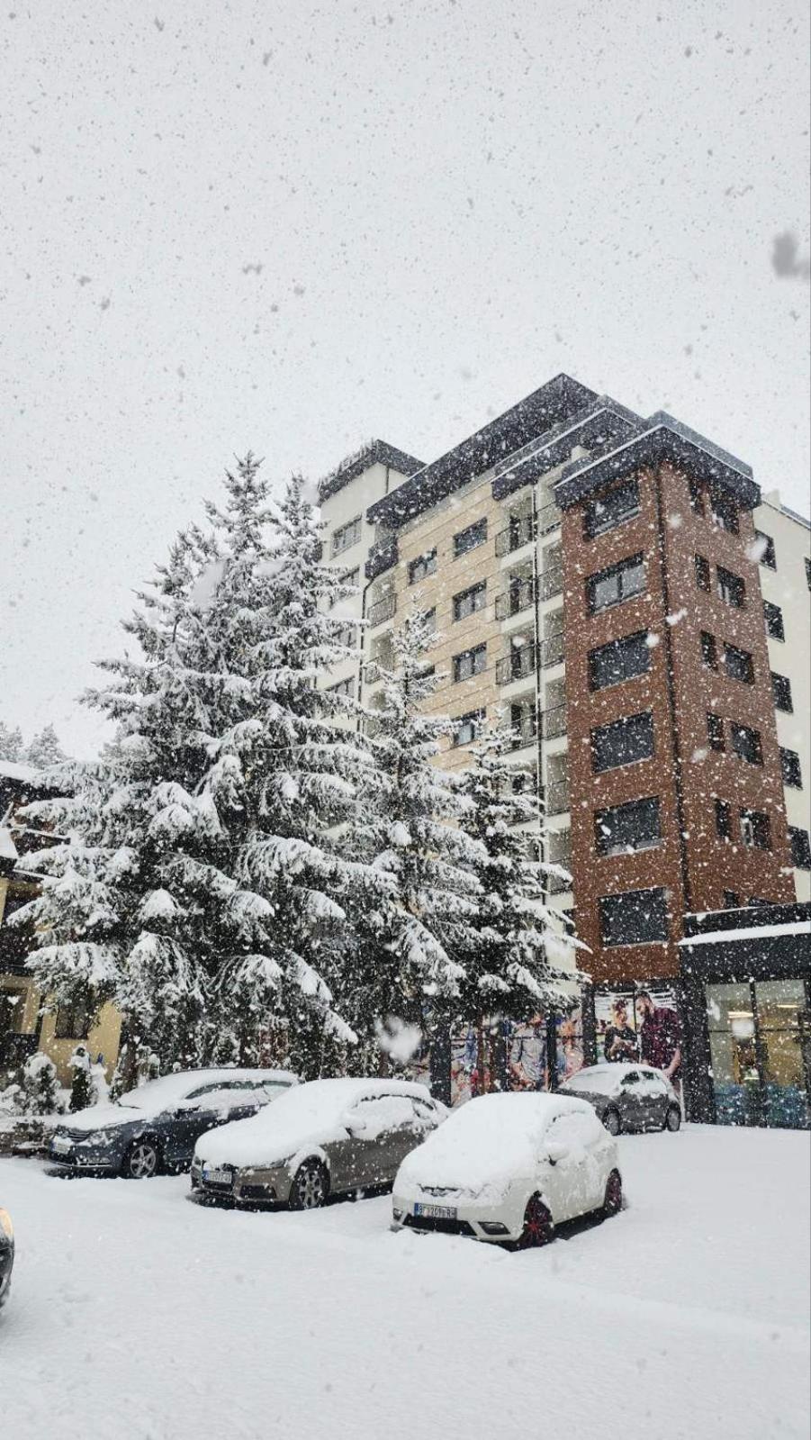 Mijatovic 22 Zlatibor